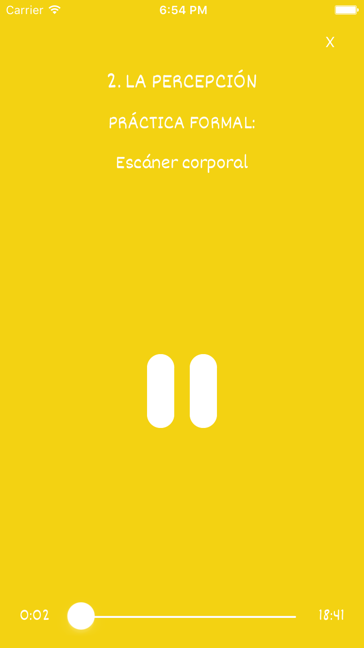 Captura de pantalla de la aplicación REM Volver a casa: audio de práctica
