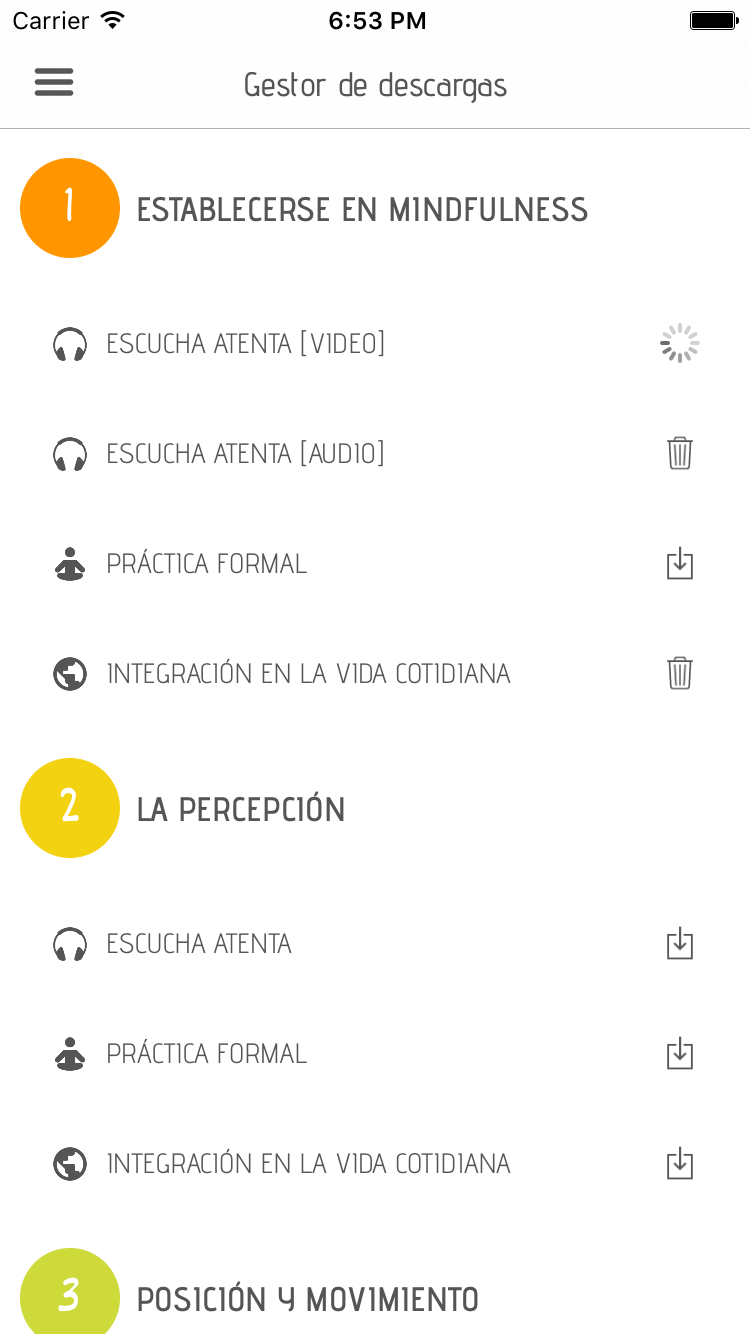 Captura de pantalla de la aplicación REM Volver a casa: gestor de descargas